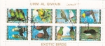 Stamps United Arab Emirates -  AVES EXOTICAS