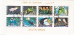 Stamps : Asia : United_Arab_Emirates :  AVES EXOTICAS