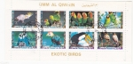 Stamps United Arab Emirates -  AVES EXOTICAS