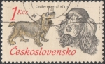 Stamps : Europe : Czechoslovakia :  Cockerspaniel Zlaty