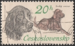 Stamps Czechoslovakia -  Irsky setter
