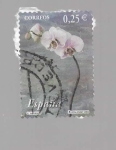 Stamps : Europe : Spain :  FLOR