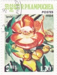 Stamps Cambodia -  FLORES-COUROUPITA