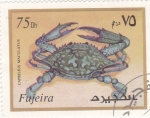 Stamps United Arab Emirates -  CAPRILIUS MACULATUS