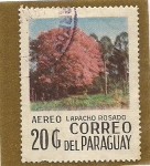 Stamps America - Paraguay -  Lapacho Rosado