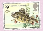 Sellos de Europa - Reino Unido -  PECES - Perca