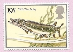 Stamps : Europe : United_Kingdom :  PECES - Lucio Esox