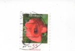 Stamps : Europe : Germany :  ROSA