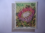 Stamps : Africa : South_Africa :  Flor - Protea Cynaroides .