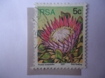Sellos del Mundo : Africa : Sudfrica : Flor - Protea Cynaroides .