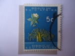 Stamps : Africa : South_Africa :  Flora-Baobab.