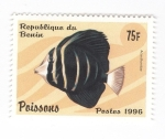 Stamps Benin -  Pez Cirujano