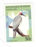 Stamps Benin -  Picatartes cuelligris