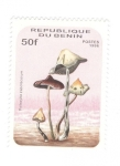 Stamps Benin -  Psilocybe zapotecorum