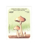 Stamps Africa - Benin -  Stropharia cubensis