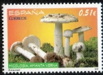 Stamps Spain -  4741-  Micología. Amanita verna.