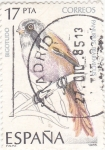 Stamps Spain -  AVE-BIGOTUDO (28)
