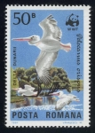 Stamps Romania -  RUMANIA: Delta del Danubio