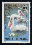 Stamps Romania -  RUMANIA: Delta del Danubio
