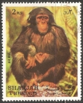 Stamps United Arab Emirates -  Gorila