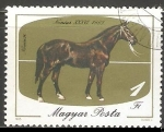 Stamps Hungary -  Negro Nonius