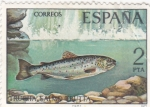 Stamps Spain -  TRUCHA (28)