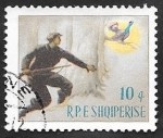 Stamps : Europe : Albania :  809 - Caza del urogallo 