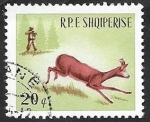 Stamps Albania -  810 - Caza del corzo