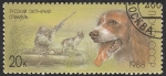 Stamps Russia -  5514 - Perro de caza 