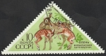 Stamps Russia -  3949 - Ciervos