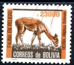 Stamps : America : Bolivia :  BOLIVIA_SCOTT 715.01 VICUÑA, FAUNA EN PELIGRO. $0.50