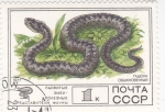 Stamps Russia -  SERPIENTE