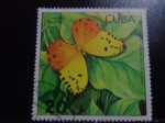 Sellos de America - Cuba -  Phoebis avellaneda
