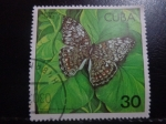 Stamps : America : Cuba :  Hamadryas ferox diasia
