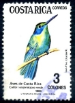 Sellos del Mundo : America : Costa_Rica : COSTA RICA_SCOTT 291.01 COLIBRI THALASSINUS. $0,25