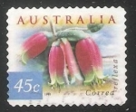 Stamps Australia -  COrrea reflexa