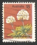 Stamps Australia -  Familia del Girasol