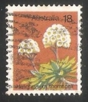 Stamps Australia -  Familia del Girasol