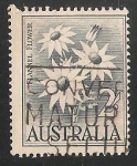 Stamps Australia -  flor de franela 