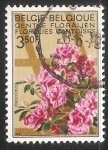 Stamps Belgium -  Azalea