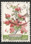 Stamps Belgium -  Azalea Japonica