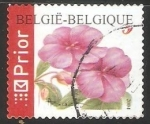 Stamps Belgium -  Clavel rojo