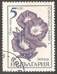 Stamps Bulgaria -  campanilla enana 