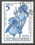 Stamps : Europe : Bulgaria :  Iris germanica