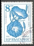 Stamps : Europe : Bulgaria :  ipomoea tricolor