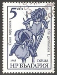 Stamps : Europe : Bulgaria :  Iris Germanica