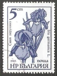 Stamps : Europe : Bulgaria :  Iris Germanica