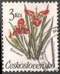 Stamps Czechoslovakia -  Tigridia, pavonia,