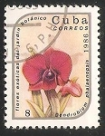 Stamps Cuba -  Dendrobium phalaenopsis