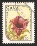 Stamps Cuba -  Allamanda violacea